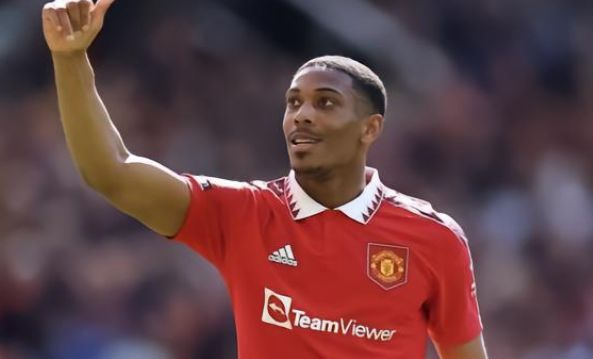 家西甲中下 家西甲中下